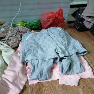 Linh trần 1..