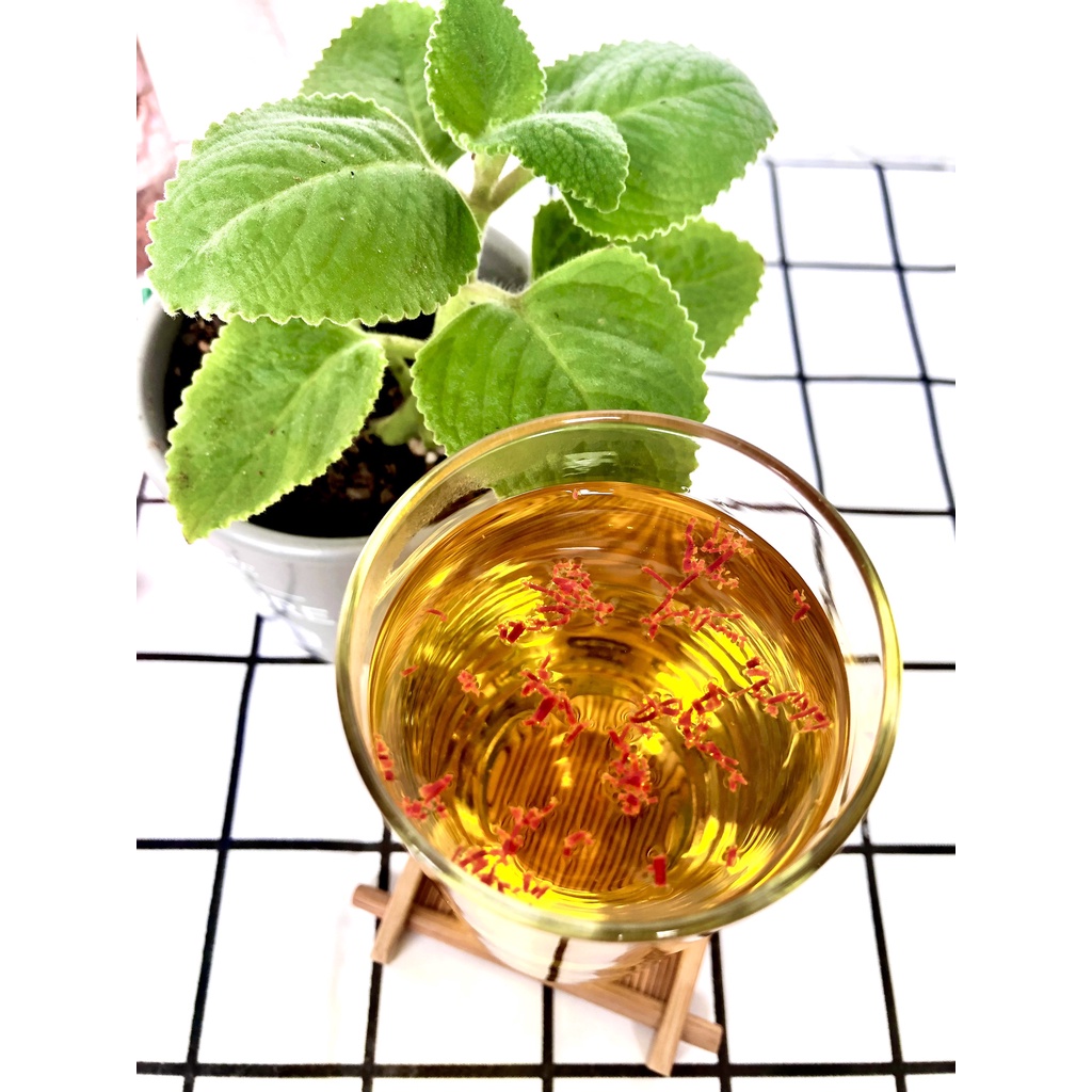 Saffron nhụy hoa nghệ tây SAFRON BAHRAMA chính hãng loại thượng hạng hộp 5G | BigBuy360 - bigbuy360.vn