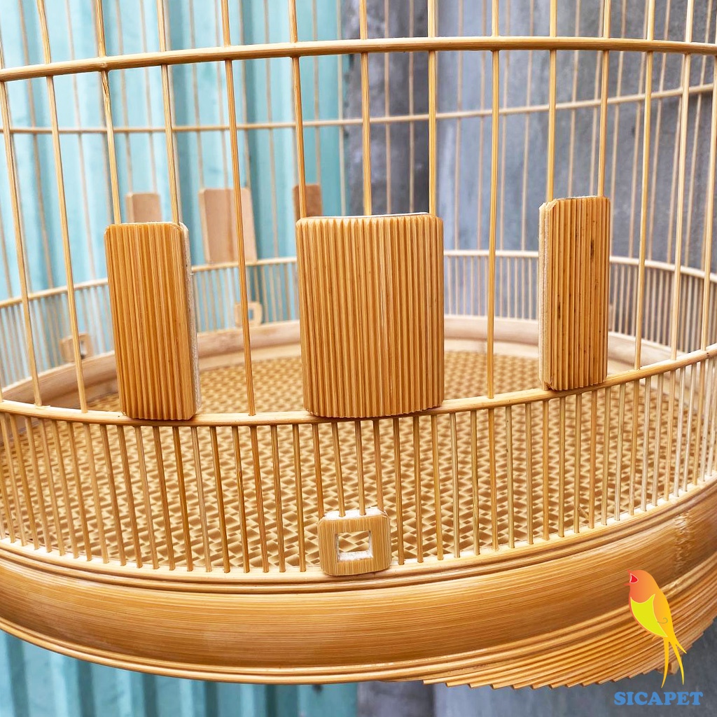 Lồng chim biên hòa dũi chỉ, Lồng chích chòe, White-rumped shama cage, Copsychus saularis SICAPET