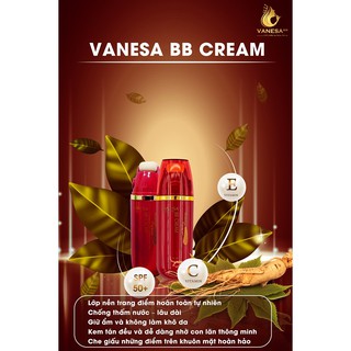 BB cream hồng sâm Vanesa kem che khuyết điểm
