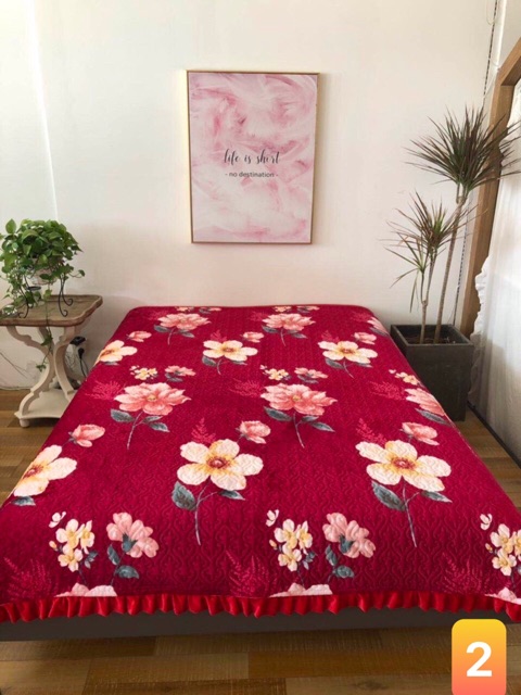 Chăn Lông Tuyết Hàn Quốc