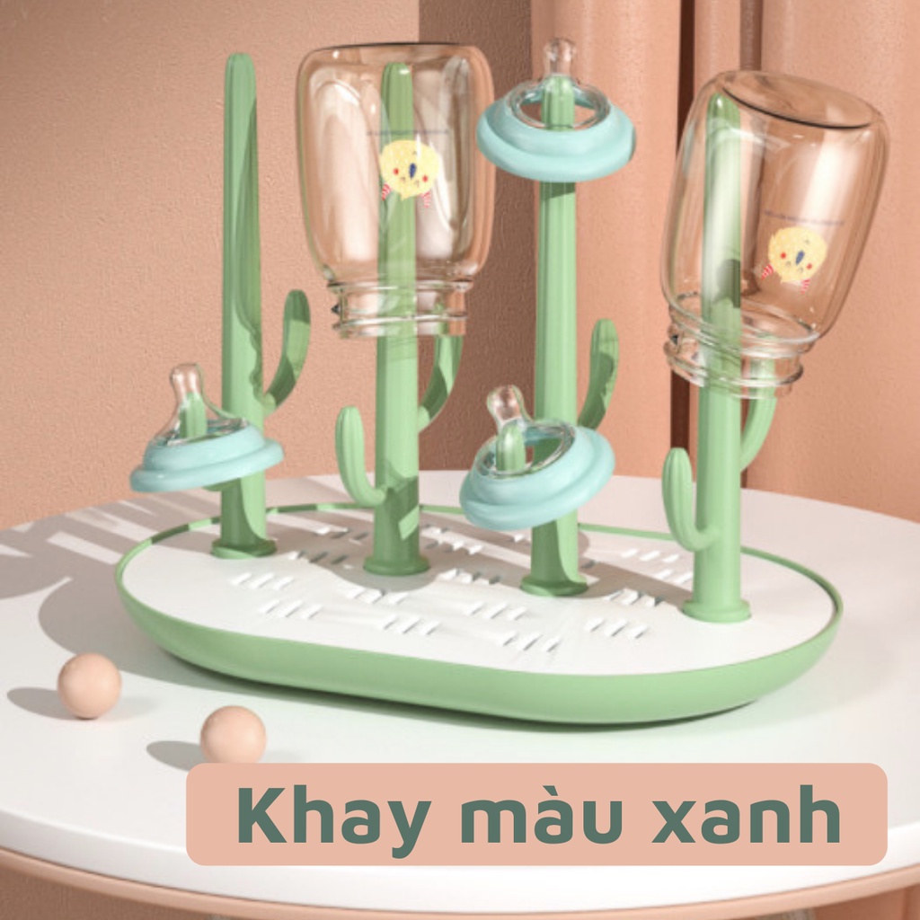 Khay úp bình sữa núm ti hình cây xương rồng tiện lợi