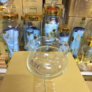 Mẫu Bèo Bầu Thủy Tinh Nuôi Cá - B8