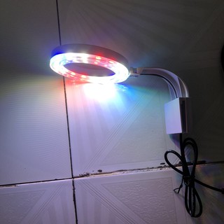 ĐÈN LED TRÒN XML TRẮNG - 3 MÀU KẸP BỂ CÁ