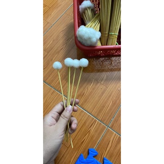 Bông ngoáy tai 10 cây