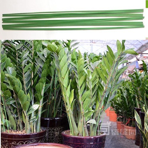 Que cắm uốn, đỡ ngồng hoa, cành cây cho lan, cây cảnh lõi thep bọc nhựa màu xanh 1 mét
