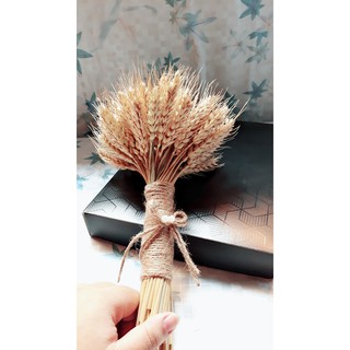 Bó hoa lúa mạch cầm tay vintage