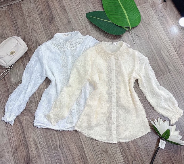 Áo sơ mi lông phối ren cổ siêu sang sale sốc