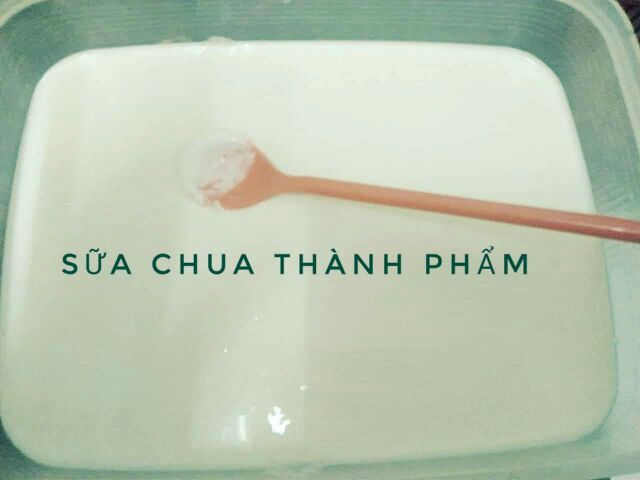 [MUA 2 TẶNG 1] Men Làm Sữa Chua Gói Lẻ 5gr | BigBuy360 - bigbuy360.vn