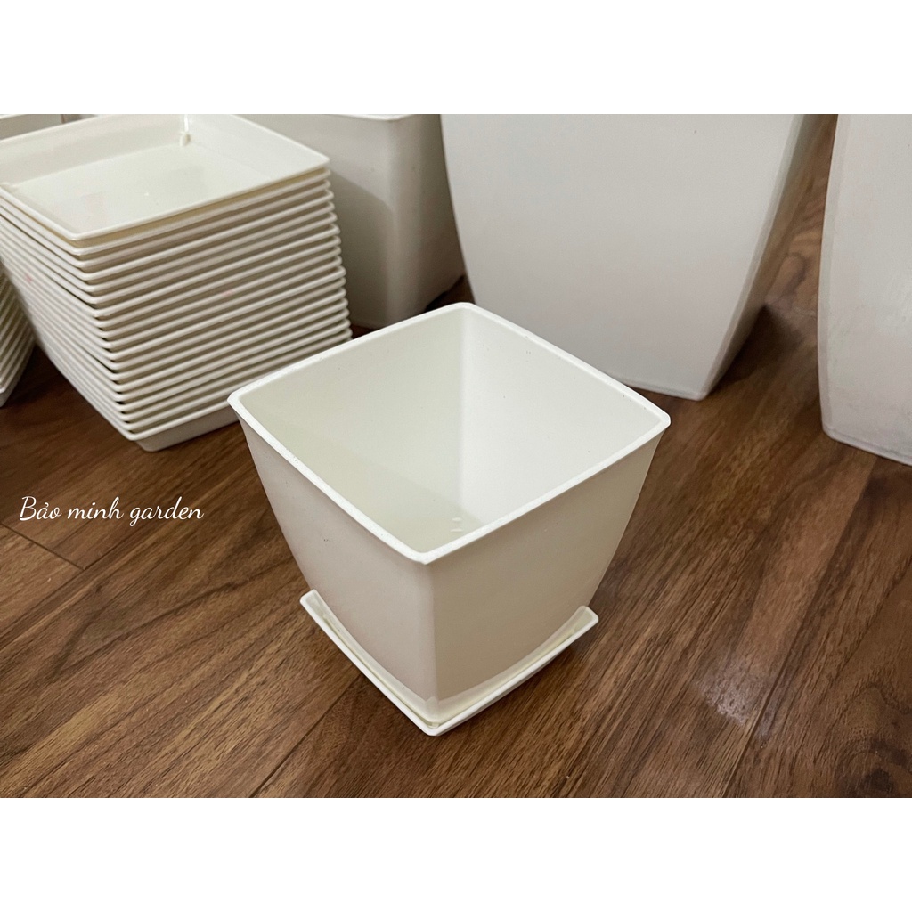 Combo 10 chậu nhựa vuông 12x12cm kèm đĩa lót trồng hoa cây cảnh văn phòng hàng cao cấp của CDT plastis