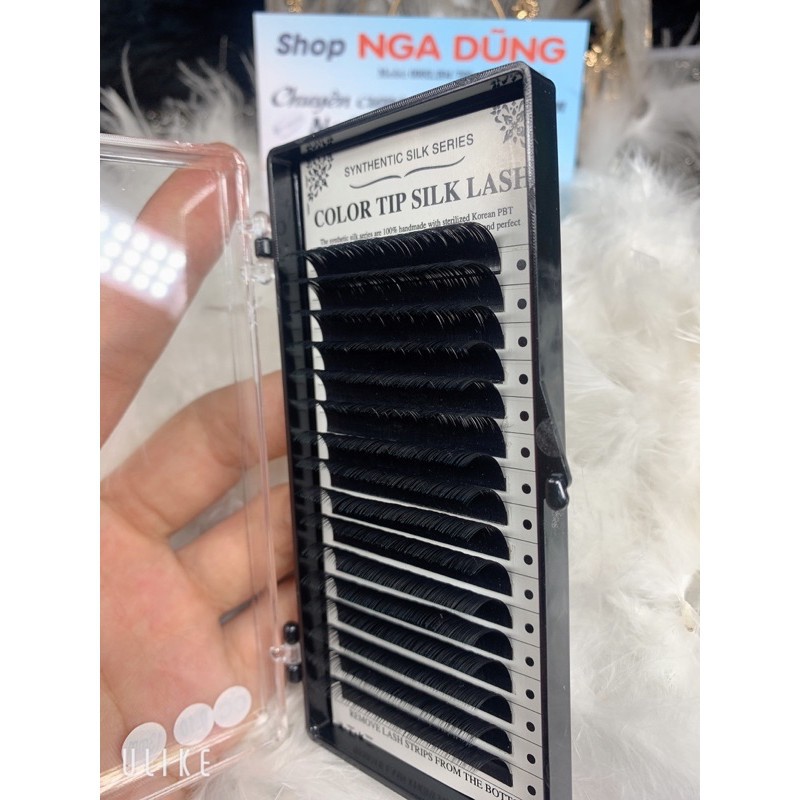 Mi color tip silk lash dày 0,10