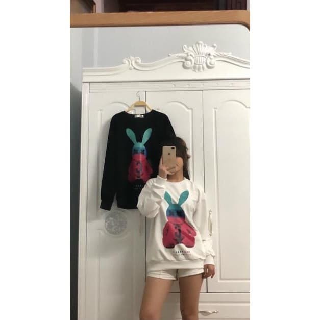 Áo nỉ hình thỏ dáng giấu quần hàng Quảng Châu, áo nỉ hình thỏ , from rộng rãi, áo đôi siêu đáng yêu | BigBuy360 - bigbuy360.vn