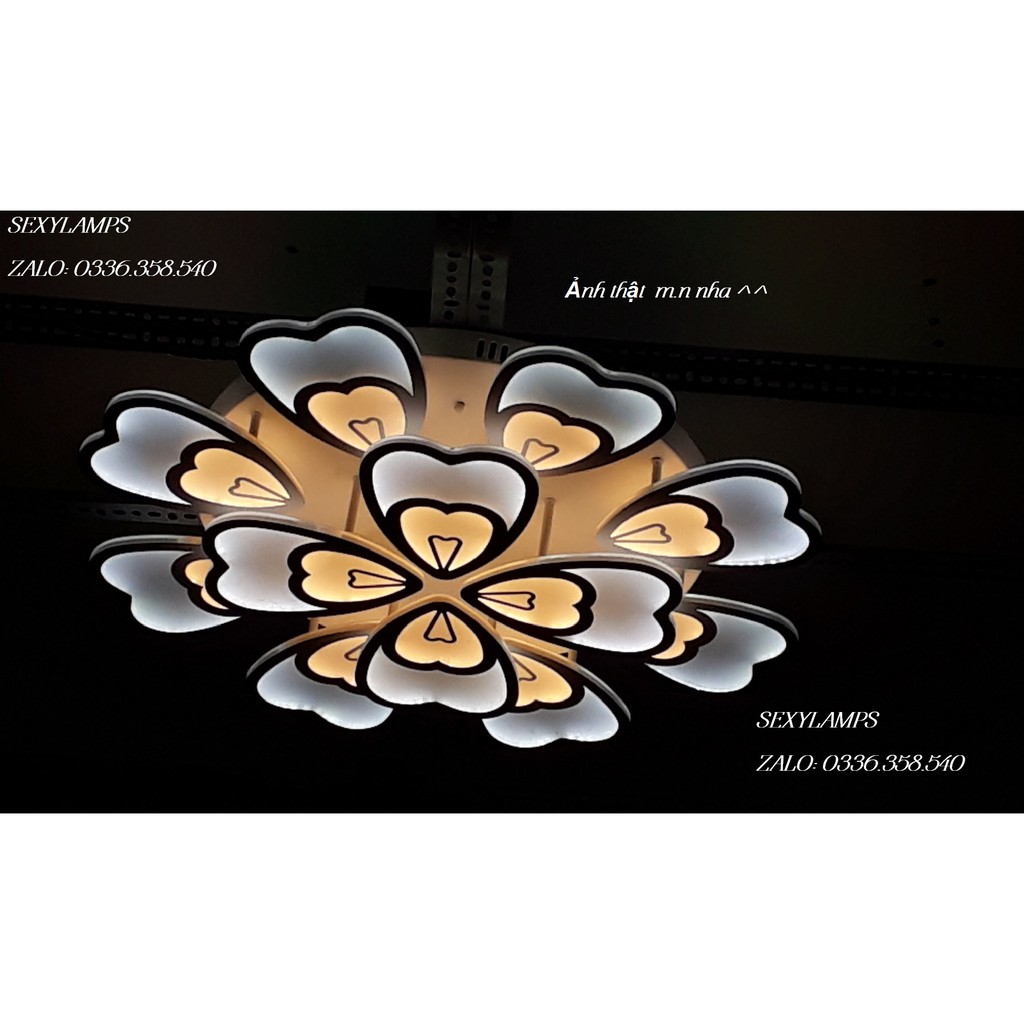 ĐÈN LED HOA CÁNH BƯỚM (12 CÁNH)