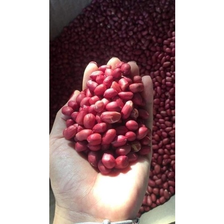1Kg Lạc đỏ quê, hàng khô, sạch sẽ, đều củ- chất lượng