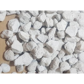 Đá Bọt Pumice Trồng Lan hút ẩm tiện lợi kích cỡ 1cm - 2cm