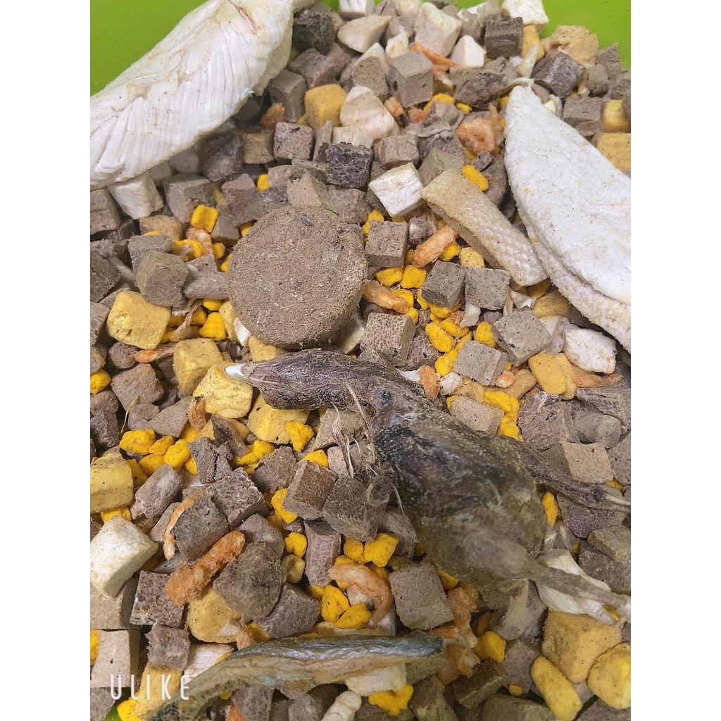 vịt viên /ức gà viên / ức gà / gà băm sấy lạnh 50gr dành cho hamster/sóc /chó/mèo/nhím/dumbo với công nghệ tiên tiến