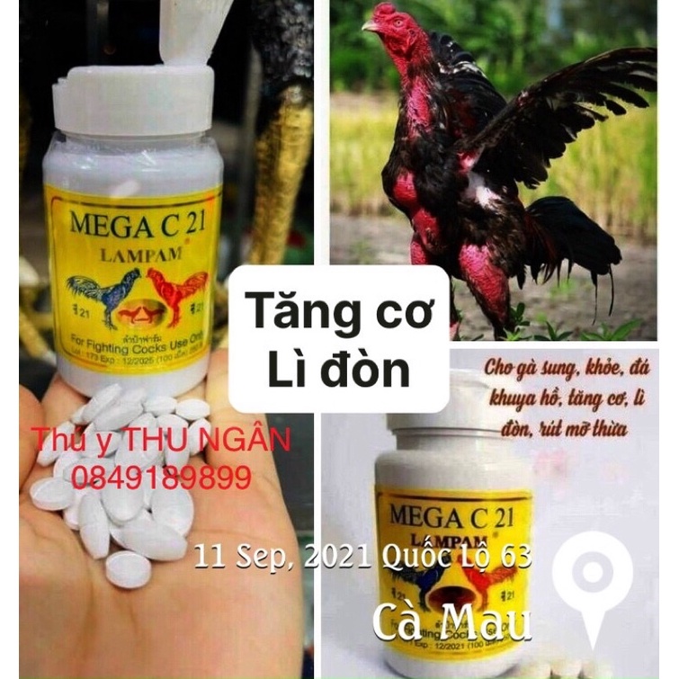 Hộp 100v mega-c21 tăng-cơ-lì-đòn-cao-cấp
