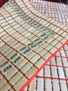 Chiếu trúc trắng gấu trúc