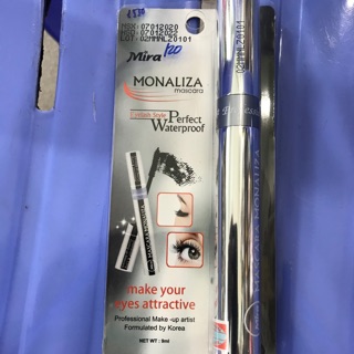 Maccara molazila