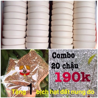 Combo 20 chậu size 7cm. 190k
