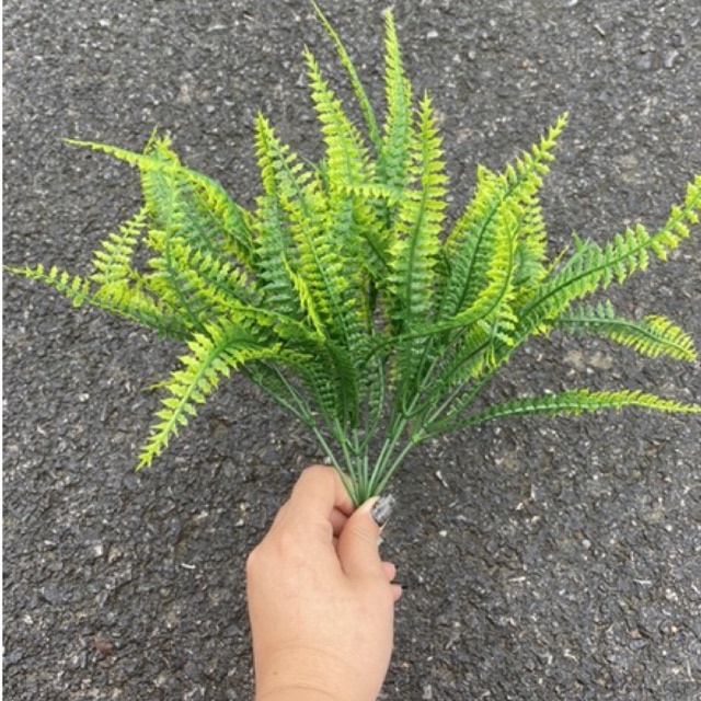 Cỏ dương xỉ cắm điểm chậu hoa,decor trang trí, cắm hoa handmade