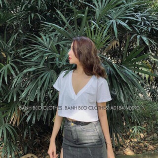 Áo Thun nữ 25k