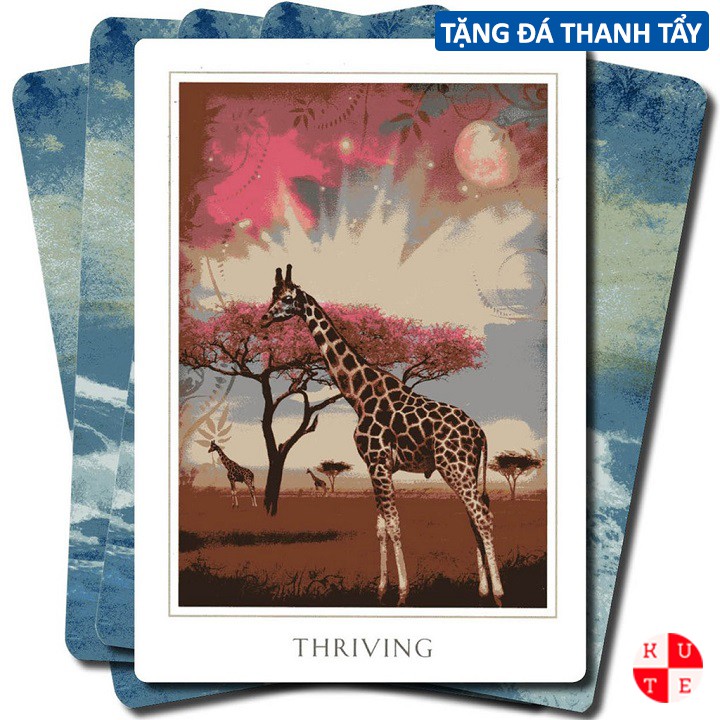 Bộ Bài Oracle Sacred Destiny 52 Lá Bài Tặng File Tiếng Anh Và Đá Thanh Tẩy C45