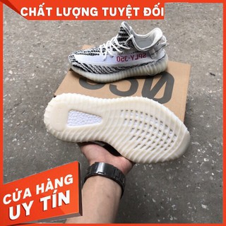 Giày Yz350 Ngựa Vằn