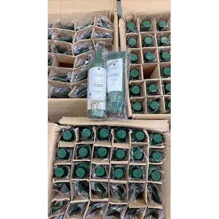 Bộ gội xả gừng welaiya ngăn dụng tóc và ngăn gầu