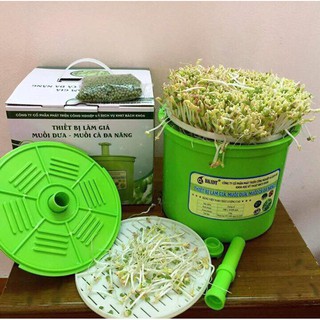 Máy làm giá đỗ sạch - giảm giá 2 ngày - đh bách khoa hn