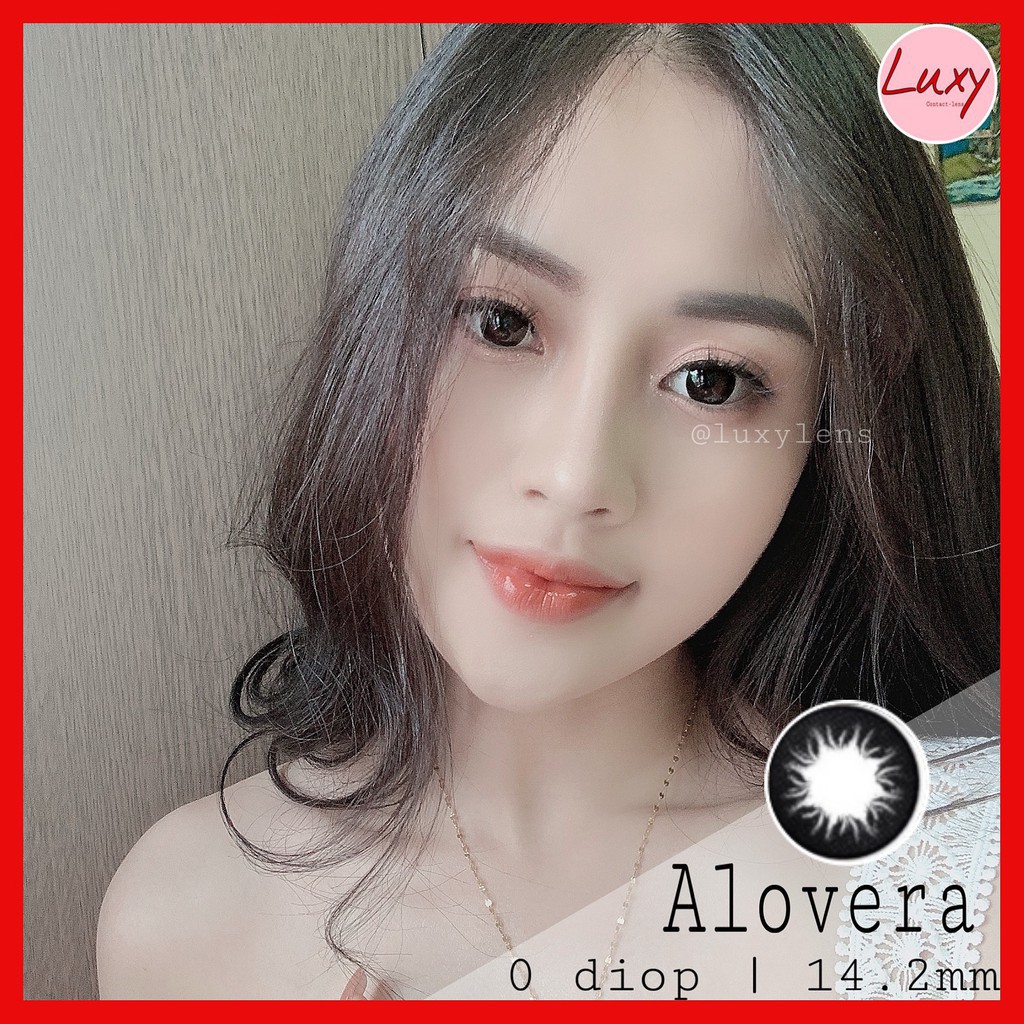 [ Ảnh Thật ] Lens Alovera Black Hàn Quốc - Luxy Lens [ Cam Kết Chất Lượng]