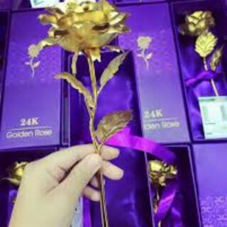 Hoa hồng sáp và hoa hồng vàng