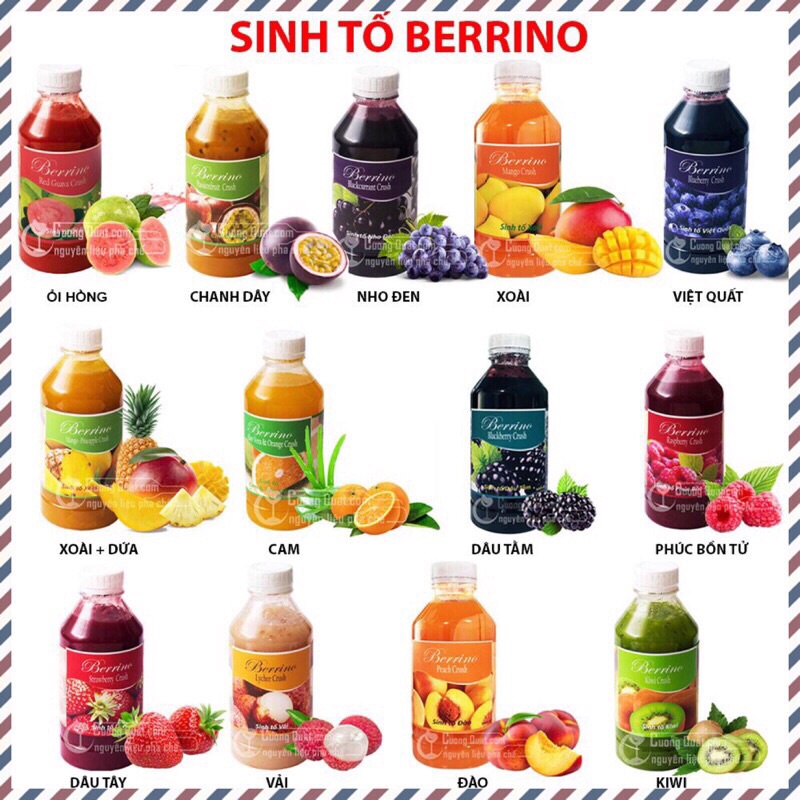 Sinh Tố Trái Cây Nhiều Hương Vị BERRINO ( 1 lít )