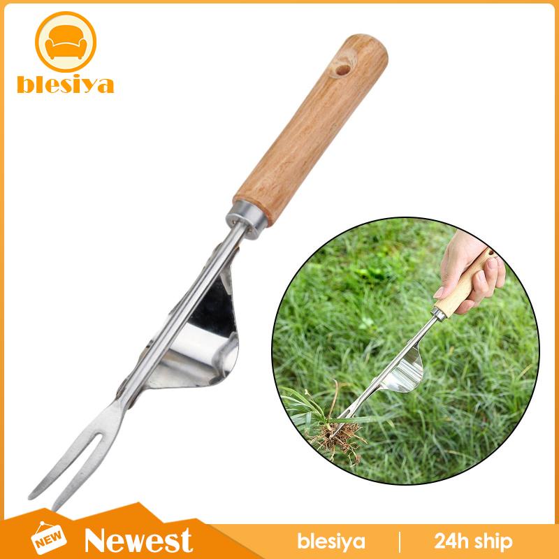 [Blesiya] Nĩa Loại Bỏ Cỏ Dại Mũi Nhọn Chữ V Chống Rỉ Sét Dễ Dàng Loại Bỏ Cỏ Dại Cho Sân Vườn