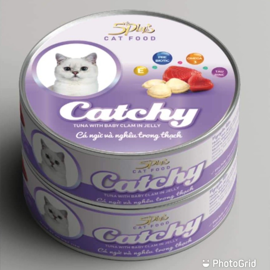 Pate lon dạng thạch 170gr Catchy 100% Thịt Thật Nhiều Vị