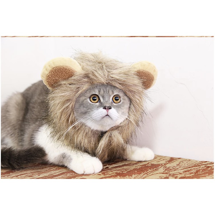 Nón cho chó mèo bờm sư tử cosplay, mũ đội thời trang cho thú cưng Con Mèo Xiêm