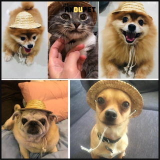 Mũ Cói Đội Đầu Thoáng Mát Cho Chó Mèo