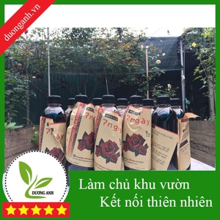 Phân bón 7 ngày cho hoa hồng