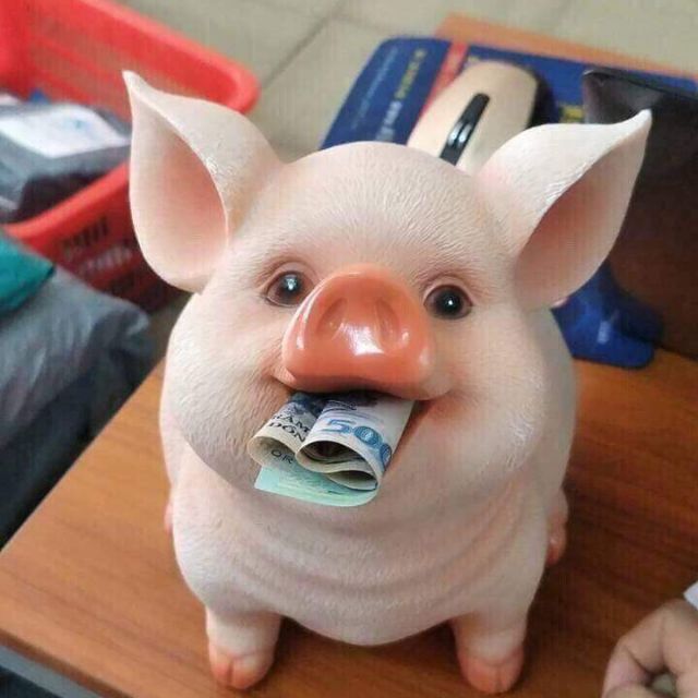 LỢN SỨ 3D HÓT HÍT