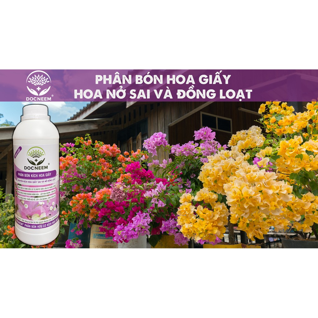 Phân bón hoa giấy DOCNEEM, chai 1 lít, kích hoa giấy ngũ sắc, thái, mỹ, cẩm thạch sai bông, lặp hoa nhanh, nở đồng loạt