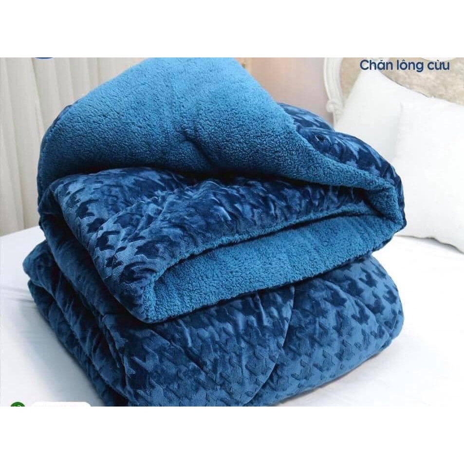 [GIÁ HỦY DIỆT] Chăn Lông Cừu Chữ Vạn Hàng 3,2 - 3,4kg (Được chọn mẫu)