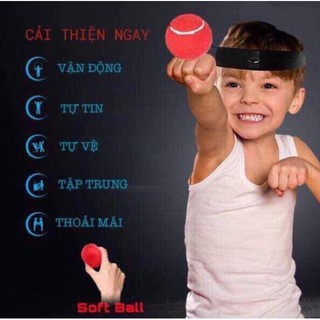 Bóng Phản Xạ Võ Thuật