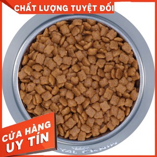 Royal Indoor canin bao 10kg