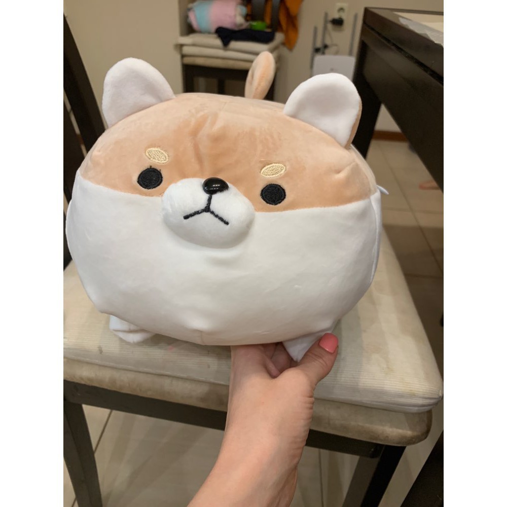 Chó Bông Shiba Mập Ú Dễ Thương Size 40cm - Gấu Bông Cute