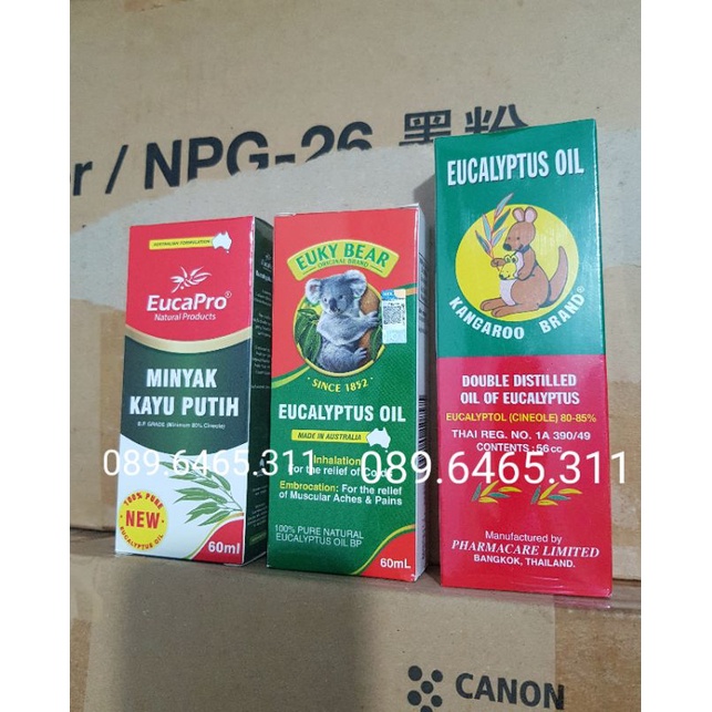 Dầu Khuynh Diệp Eucapro, Kangaroo, 𝐄𝐮𝐤𝐲 𝐁𝐞𝐚𝐫 Hàng Úc⚡60ML⚡