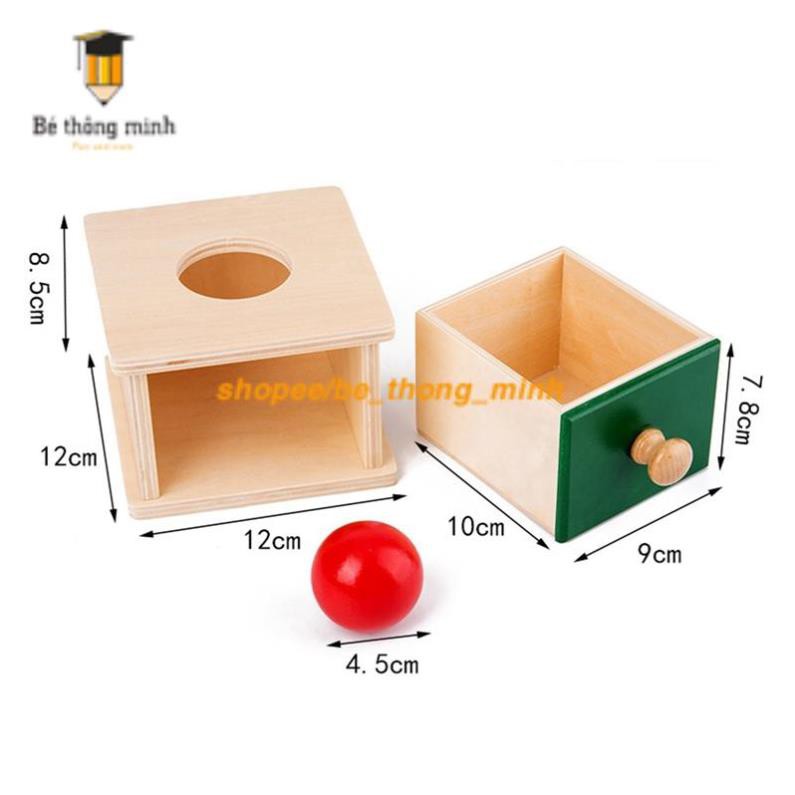 Bộ thả bóng thả đĩa xu - Giáo cụ Montessori 0 - 3 tuổi