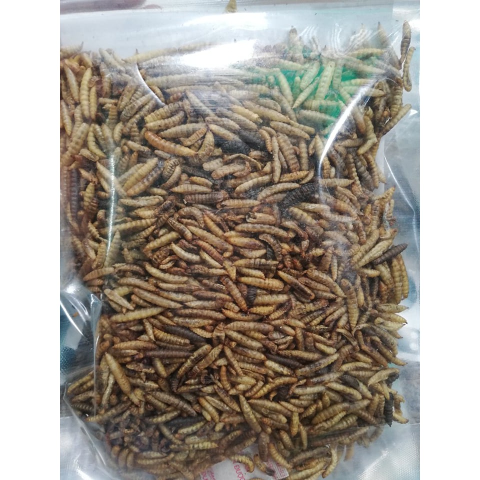 Sâu canxi sấy khô ( 100g ) dinh dưỡng cao cho  , bò sát , cá cảnh , thú cưng nhỏ ( sóc bay , hamter ,.. )