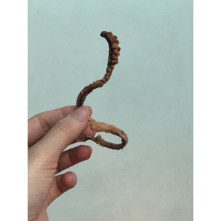 Râu mực khô