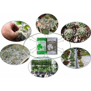 100gr Đá Perlite_ Đá Chân Trâu trồng cây, trang trí