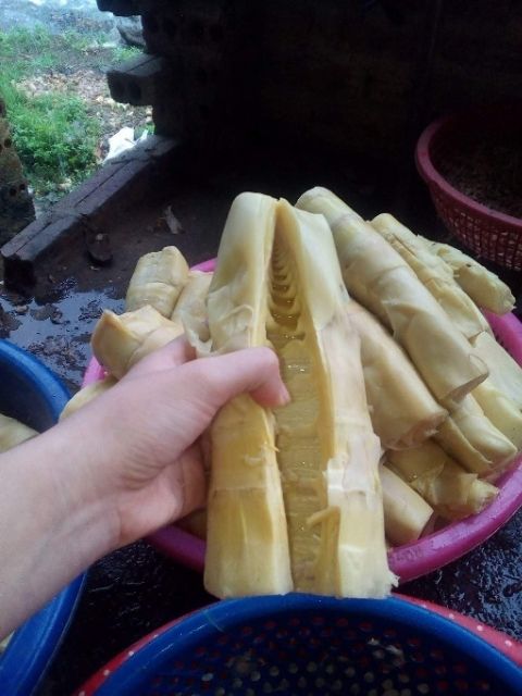 Măng mầm khô sạch non ngon đặc sản tây bắc 100% Không hoá chất